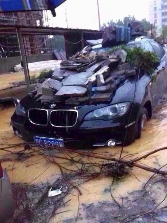 臺風菲特災情