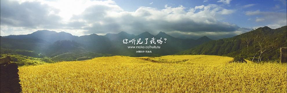 攝影師灰兔兔澤雅采風