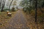 雙鴨山下雪了 10月3日黑龍江雙鴨山迎來今年第一場雪