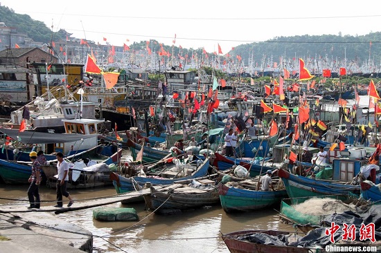 臺風菲特給浙江沿海帶來10級大風 臺州300余艘船舶進港避風