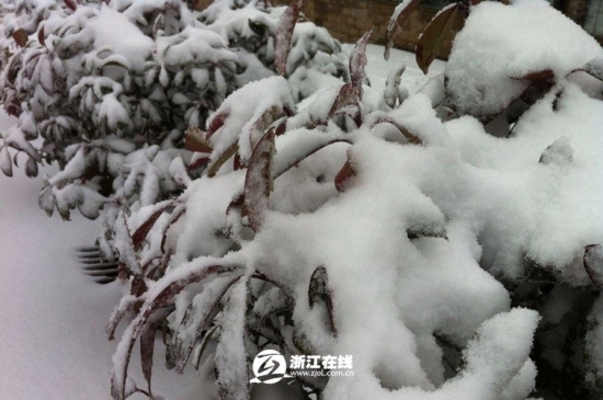 浙江下雪了，2013年冬季浙江湖州安吉第一場雪
