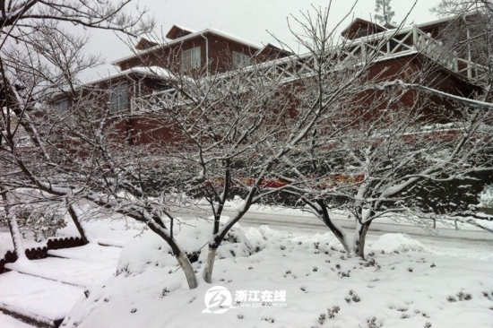 浙江下雪了，2013年冬季浙江湖州安吉第一場雪