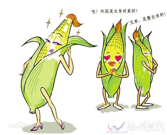 什么叫轉基因食品