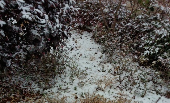 昆明2014年第一場雪