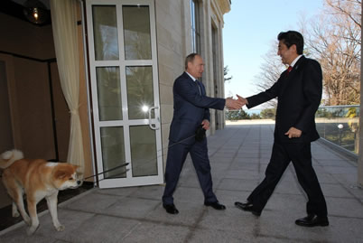 普京牽狗會見安倍 媒體猜測普京會見安倍晉三牽著狗