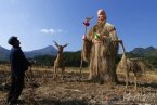 溫州永嘉蒼坡古村落別致稻草人 由永嘉民間高手制作