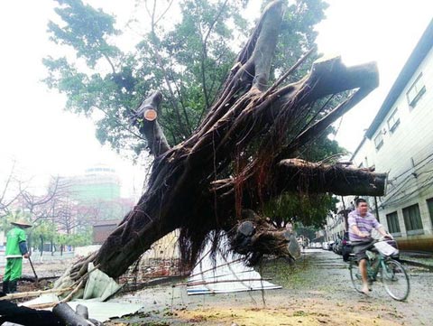 廣東強降水十年少見 呈現五大特點