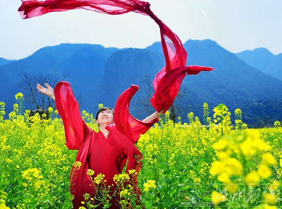 油菜花賞花