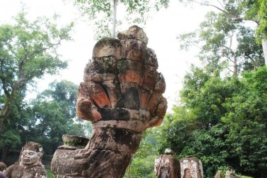 五頭蛇是真的嗎