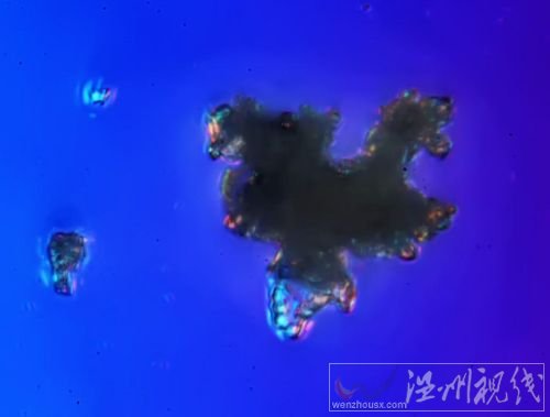 霧霾放大1000倍