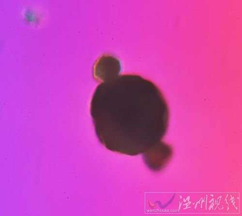 霧霾放大1000倍