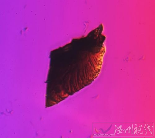 霧霾放大1000倍
