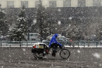 哈爾濱罕見5月飛雪 5月2日哈爾濱下雪了