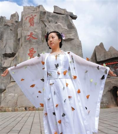 景區(qū)扎死蝴蝶裝扮仙子 扎死上百只蝴蝶當(dāng)裝飾