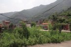 浙江義烏蜱蟲叮咬后致死 2011年義烏市1例2014年臺州