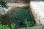 樂清雁蕩山一水潭有2人溺亡