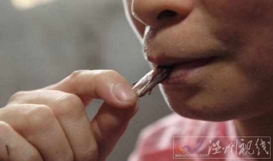 女子養10萬只蟑螂可供生吃