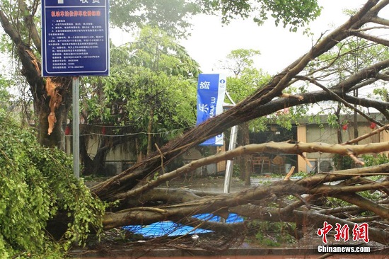 廣西臺風過后街頭一片狼藉