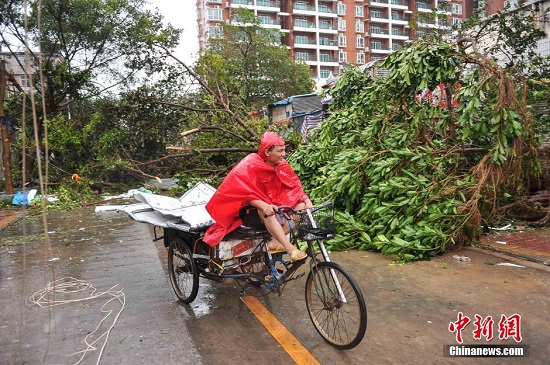 廣西臺風過后街頭一片狼藉