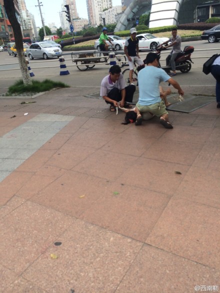 女子當街被救護車綁走其實是因為精神病發(fā)作