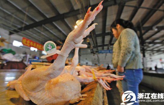 浙江h(huán)7n9最新消息相關新聞圖片