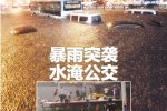 沈陽大雨 6月2日沈陽大雨