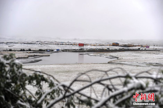 四川阿壩州紅原大草原下雪了