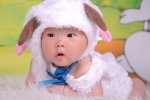十羊九不全是什么意思 迷信媽媽扎堆生馬寶寶