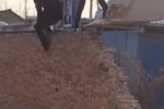 焦作震撼強拆 河南焦作武陟縣開發商強拆場面嚇人