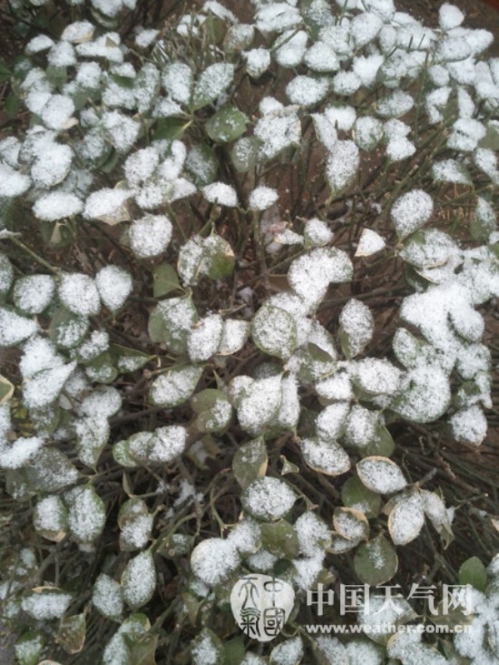 太原2015年第一場雪