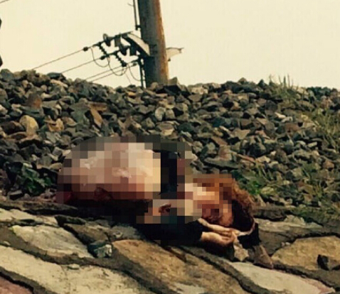 女子戴耳機(jī)過鐵軌被撞死