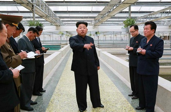 金正恩發飆