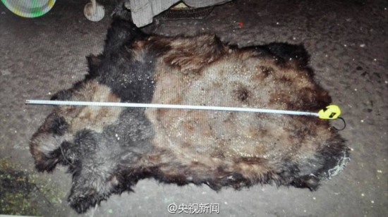 云南獵殺大熊貓案