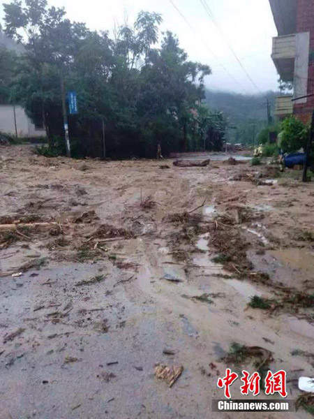 廣西暴雨引發泥石流災害