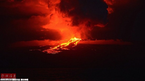 厄瓜多爾沃爾夫火山噴發(fā)