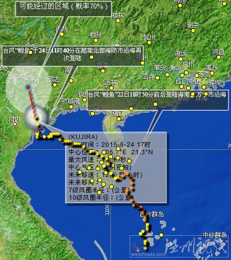 臺(tái)風(fēng)鯨魚路徑