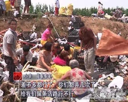 20噸蘋(píng)果遭哄搶