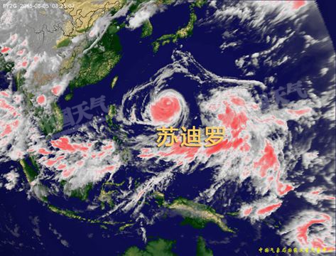 “蘇迪羅”前世溫柔似貓 今生或兇猛如虎