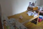 下輩子不做窮人家孩子陳家祎