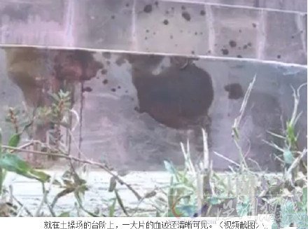 操場飆車撞人