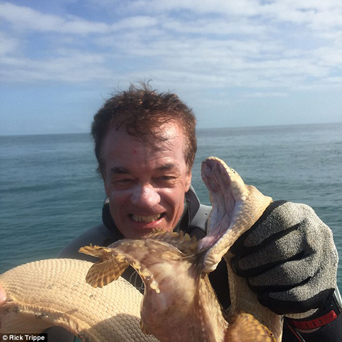 海蛇石魚生死戰