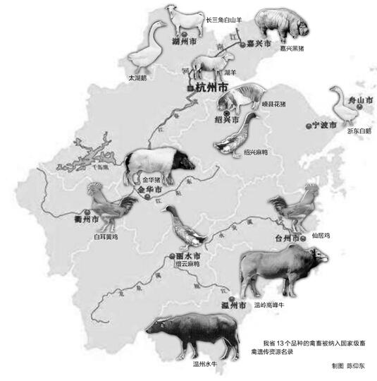 平陽縣騰蛟鎮(zhèn)李挺志水牛養(yǎng)殖場 溫州水牛飼養(yǎng)獲補助