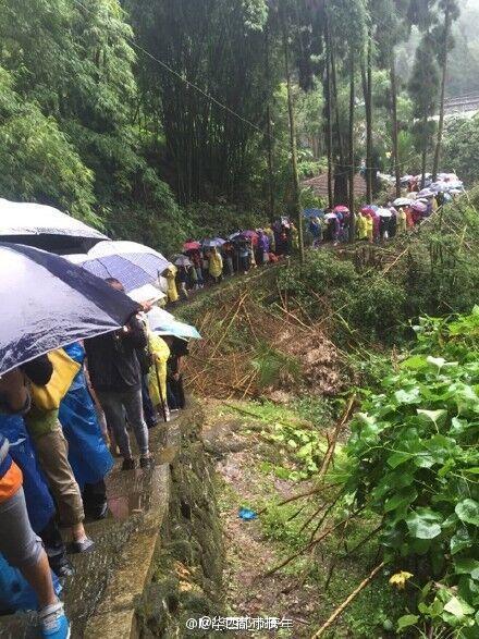 峨眉山大樹傾倒砸死游客