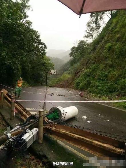 峨眉山大樹傾倒砸死游客