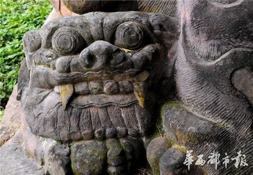 中國(guó)最大石獅遭不文明人成敏刻字
