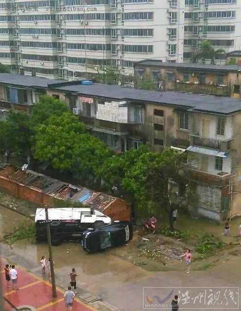 湛江成臺風重災區