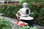 機器人菜園 日本純自動化的機器人菜園