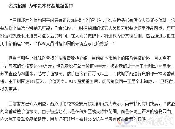 黃檀被人盜伐