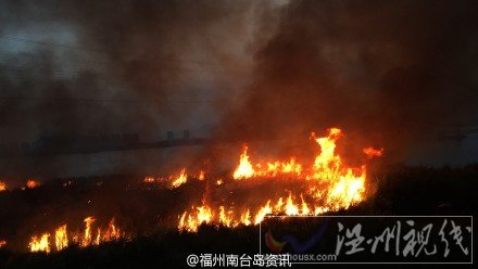 浦上大橋下 烏龍江邊草地大火