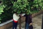 長江師范學院女生被劫持真相曝光